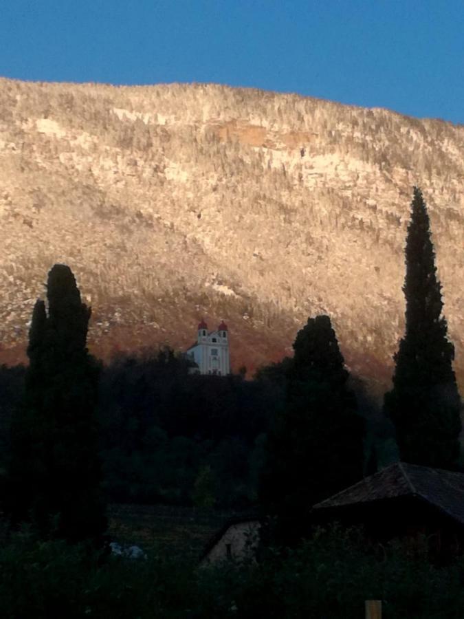 Apartamento Ansitz Jenner Appiano Sulla Strada Del Vino Exterior foto