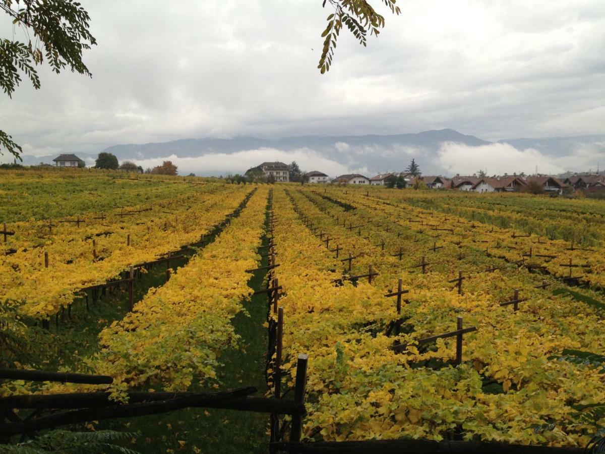 Apartamento Ansitz Jenner Appiano Sulla Strada Del Vino Exterior foto