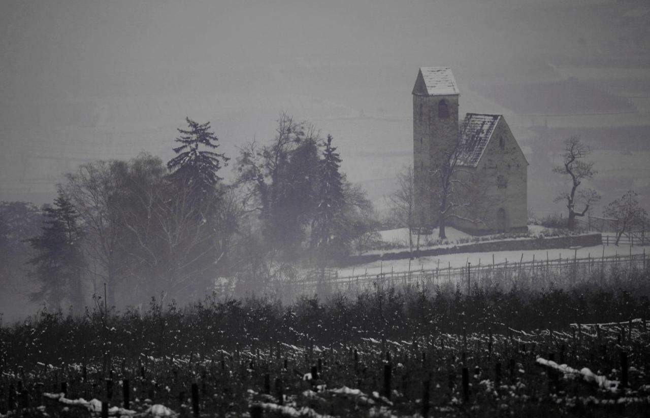 Apartamento Ansitz Jenner Appiano Sulla Strada Del Vino Exterior foto